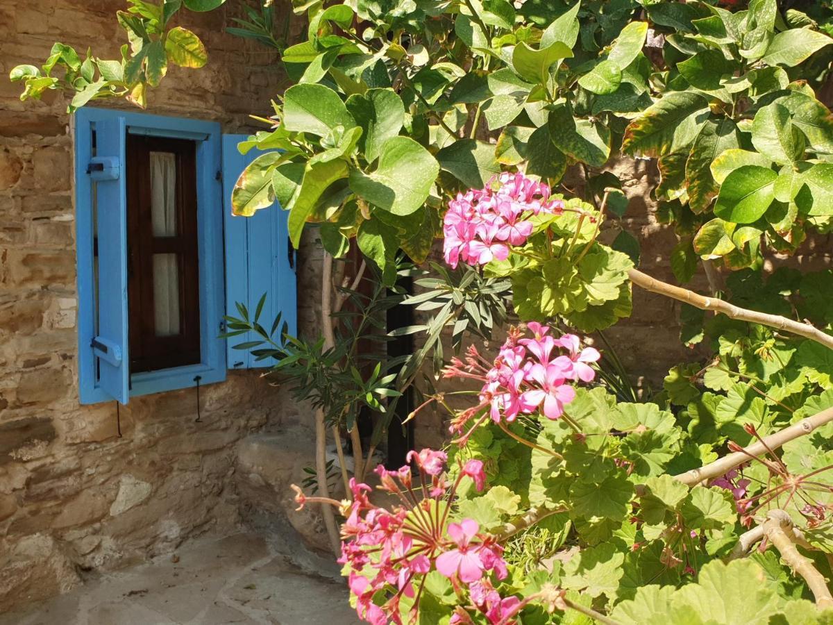 Vasilopoulos House Tochni Extérieur photo