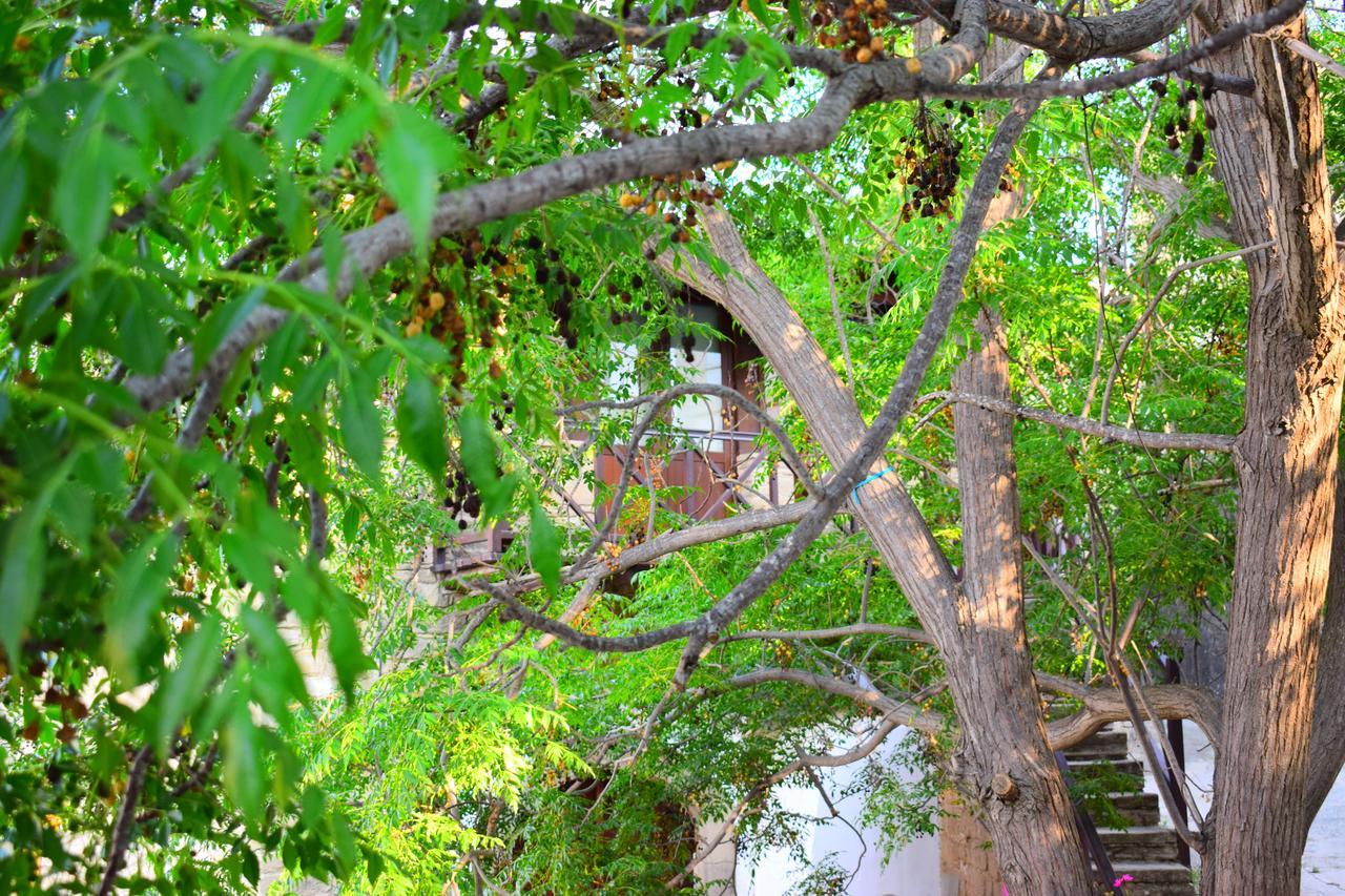 Vasilopoulos House Tochni Extérieur photo